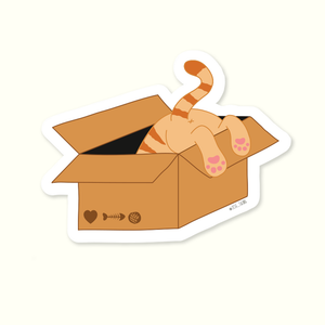Gato en la caja