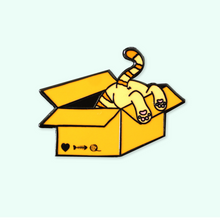 Load image into Gallery viewer, Cat in a box
