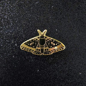 Polilla