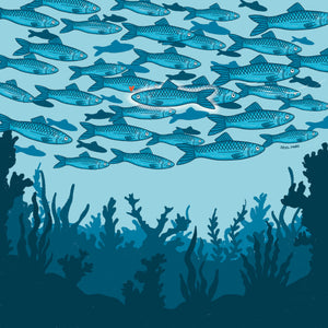 Sardines